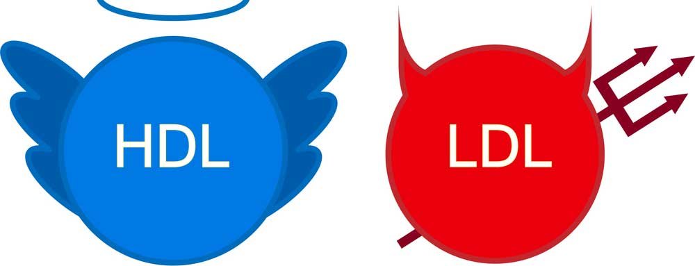 5 Causes of Bad Cholesterol